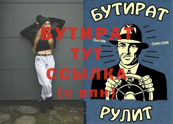 шишки Надым
