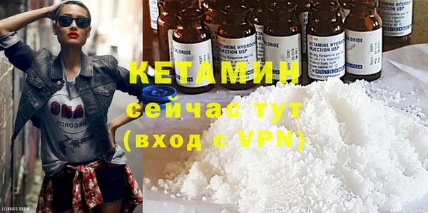 шишки Надым