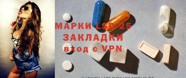 шишки Надым